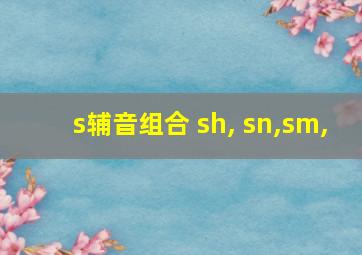 s辅音组合 sh, sn,sm,